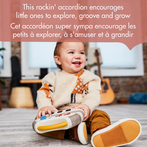 Tiny Love Tiny Rockers Accordion