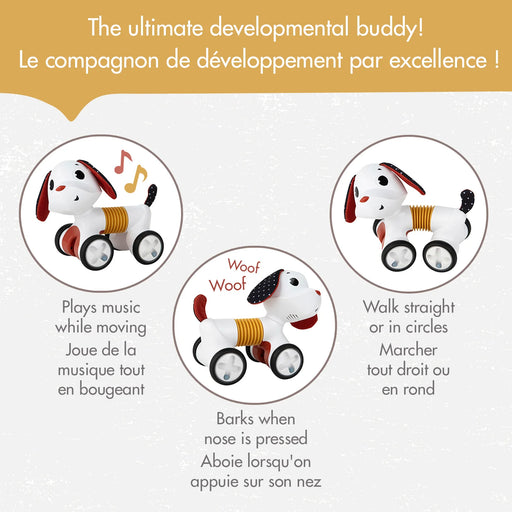 Tiny Love Rockers Follow-Me Charlie