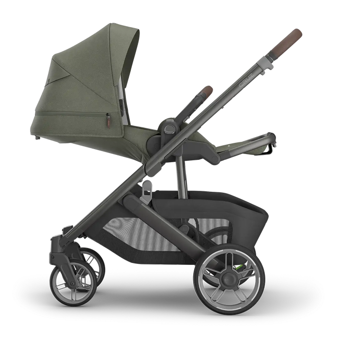 Uppababy Cruz V3 Stroller - Evelyn