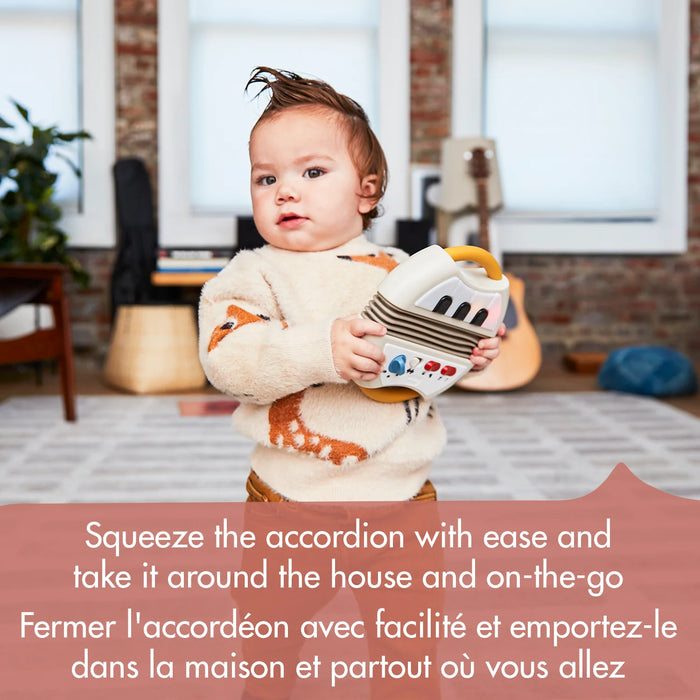 Tiny Love Tiny Rockers Accordion
