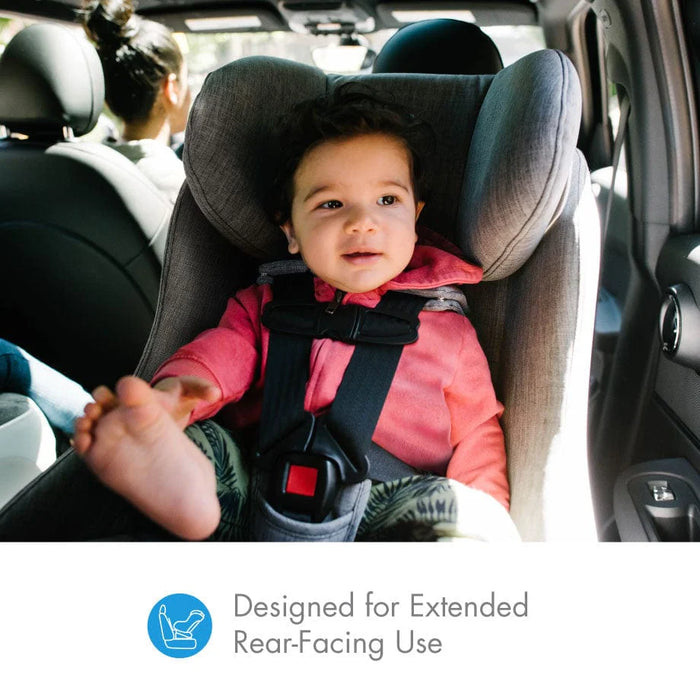 Clek Foonf - Latte Ziip