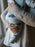 Zippy Jamz Footed Organic Cotton - Hedgehugs & Kisses Blue