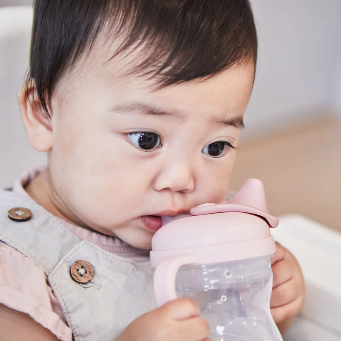 Bbox Spout Cup - Blush