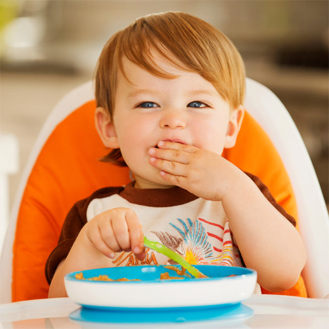 Munchkin 1pk Suction Plate - Blue