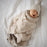 Bleu La La Swaddle Blanket Deer - Taupe
