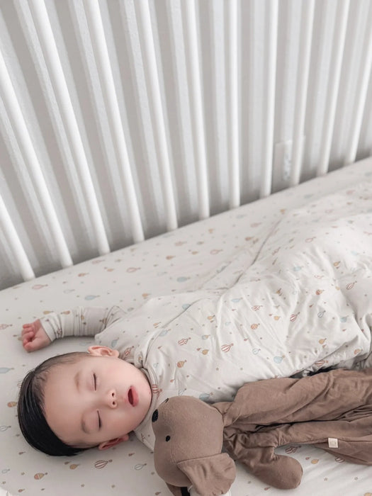 Gunamuna Sleepsack Duvet 1.0 Up Up and Away