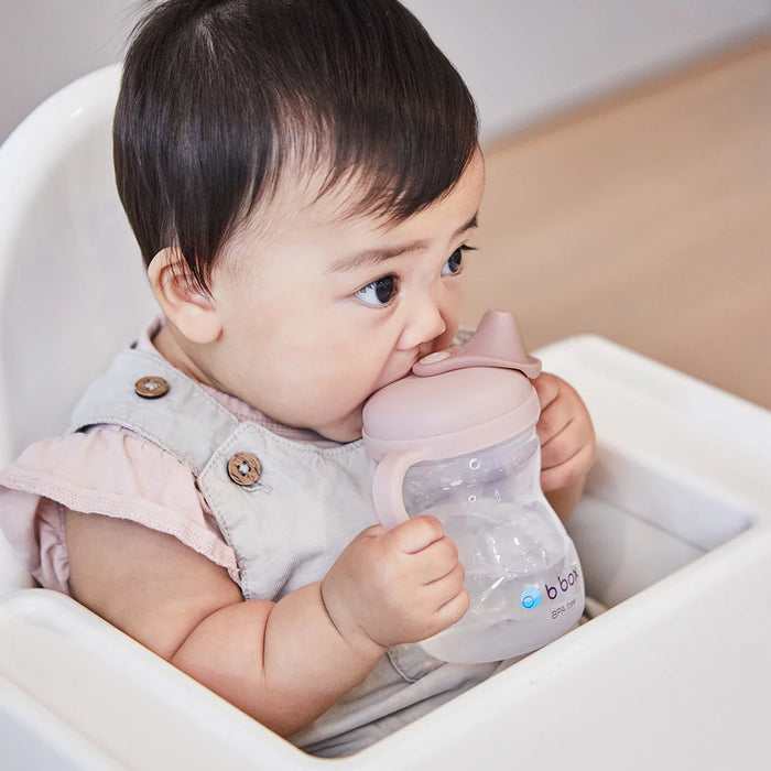Bbox Spout Cup - Blush