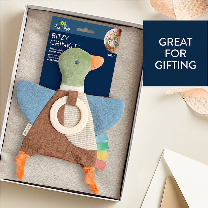 Itzy Ritzy Crinkle Sensory Toy - Mallard