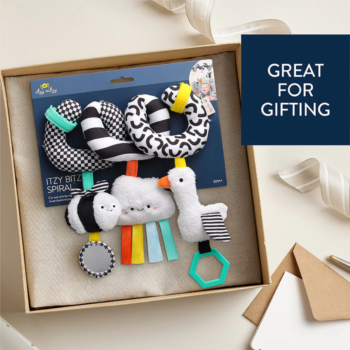 Itzy Ritzy Spiral High Contrast