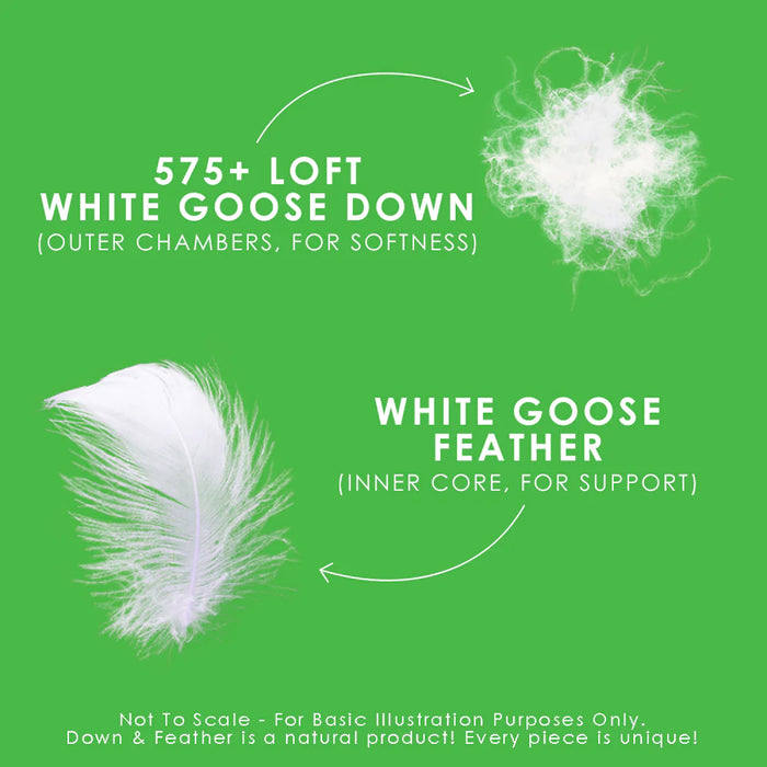 Canadian Down & Feather Down Perfect Pillow - Medium/King