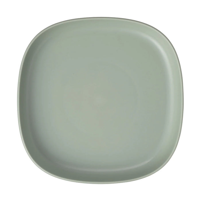 Bbox 2in1 Suction Plate - Sage