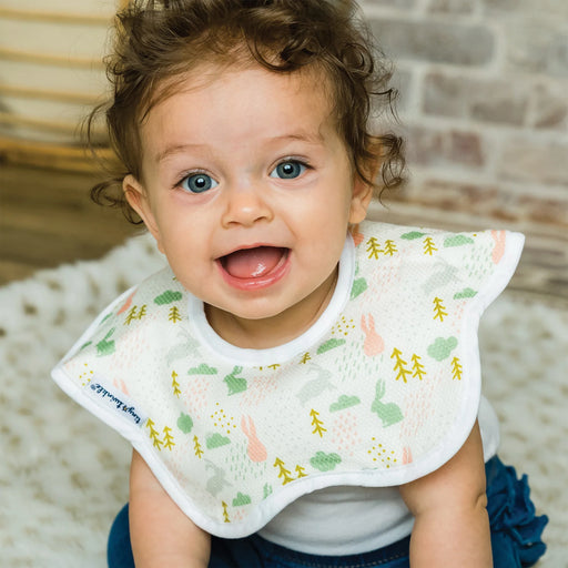 Tiny Twinkle Roundabout Bib 2pk - Blush