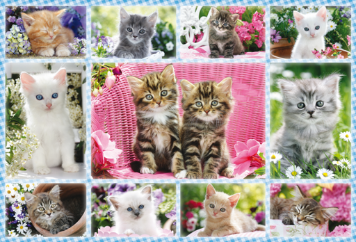 Schmidt Puzzle 100pcs - Kittens