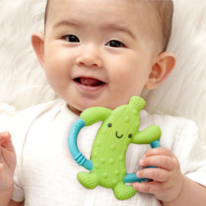 Itzy Ritzy Silicone Handle Teether Pickle