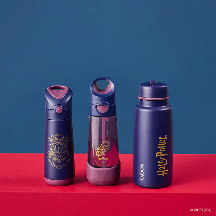 Bbox Insulated Drink Bottle 500ml - Harry Potter