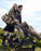 7AM Blanket 212 Evolution - Footmuff Moss Brown