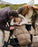 7AM Blanket 212 Evolution - Footmuff Moss Brown