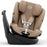 Cybex Callisto G 360 - Almond Beige