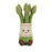 Jellycat Amuseables Asparagus (LIMIT ONE PER CUSTOMER)