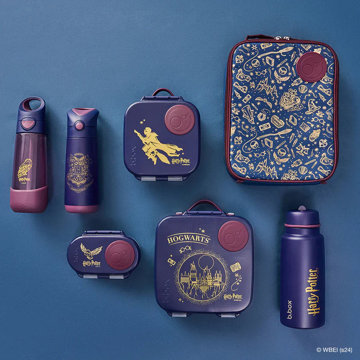 Bbox Insulated Drink Bottle 500ml - Harry Potter