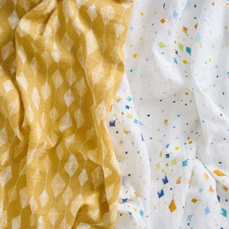 Aden+Anais Kite Parade 2-pack Swaddles