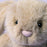 Jellycat Oat Flufflet Bunny (LIMIT ONE PER CUSTOMER)