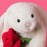 Jellycat Cream Bunny With Rose (LIMIT ONE PER CUSTOMER)
