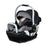 Britax Willow SC Car Seat - Pindot Onyx