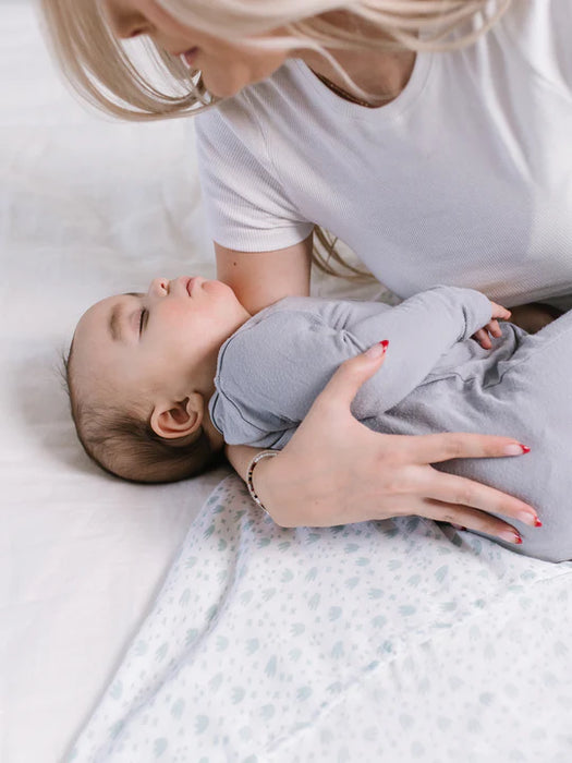 Ju-Ju-Be Swaddles Blanket 2pc Set - Roarsome