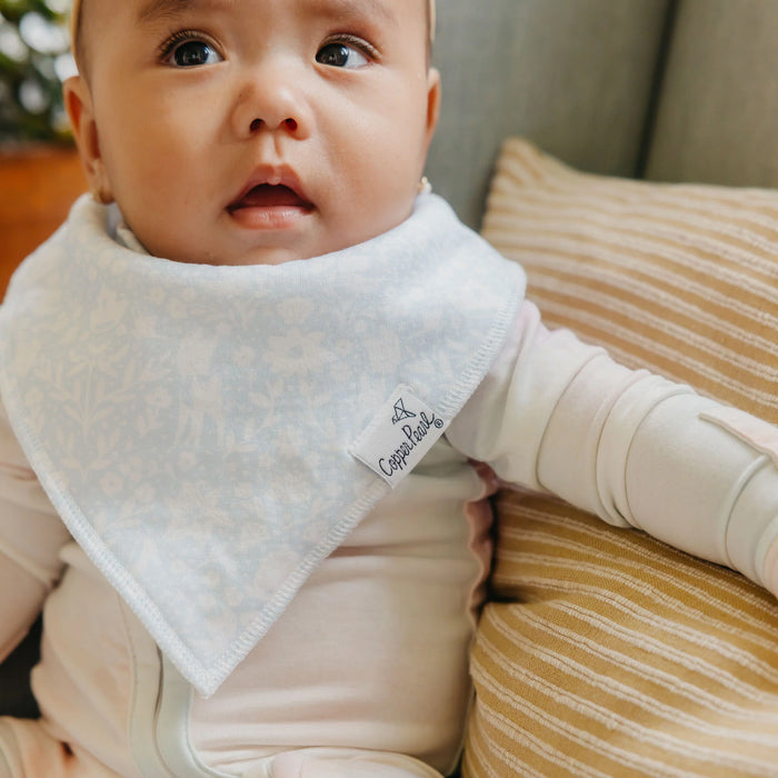 Copper Pearl Bandana Bibs Set - Disney Princess