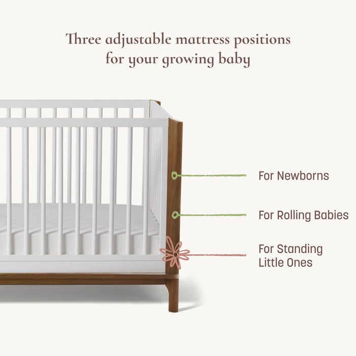 Little Seeds Laurel Island 4 in 1 Crib - Black/Chestnut