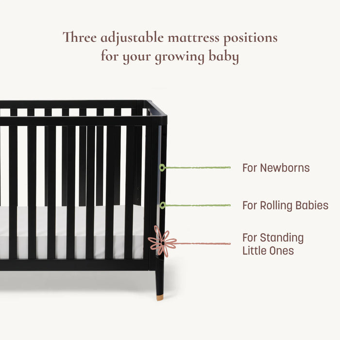Little Seeds Aster 4 in 1 Convertible Crib