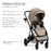 Britax Prism Modular Stroller-Teak