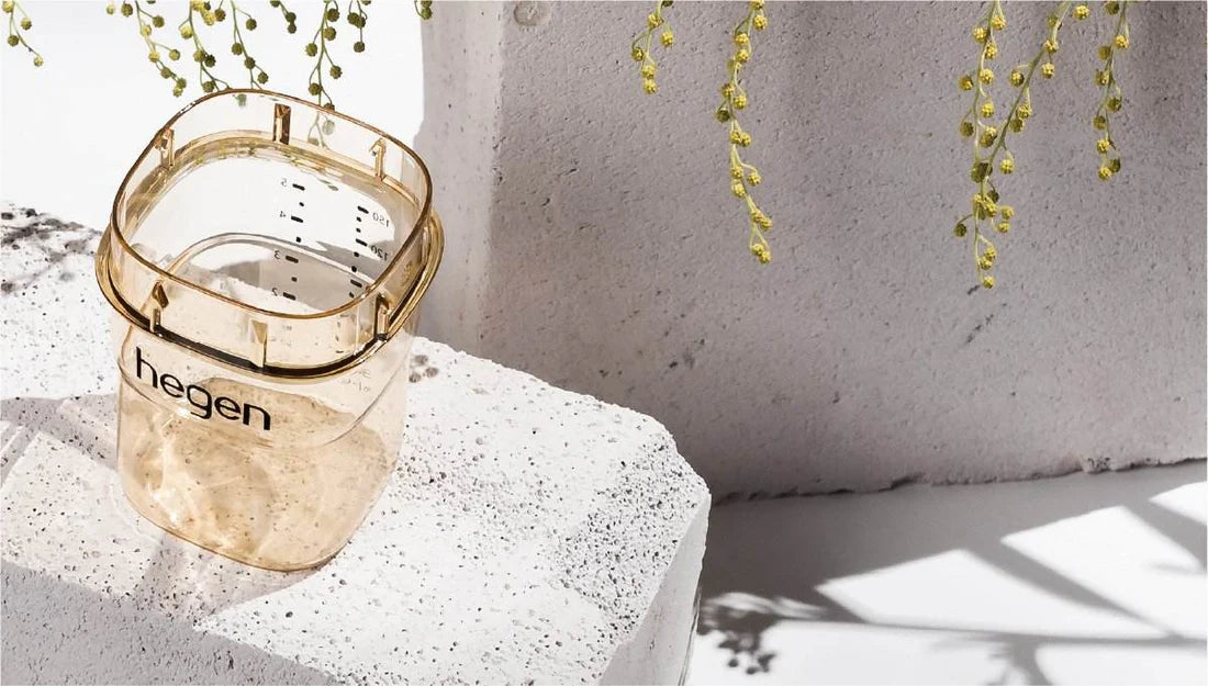 Hegen PCTO Basic Starter Kit