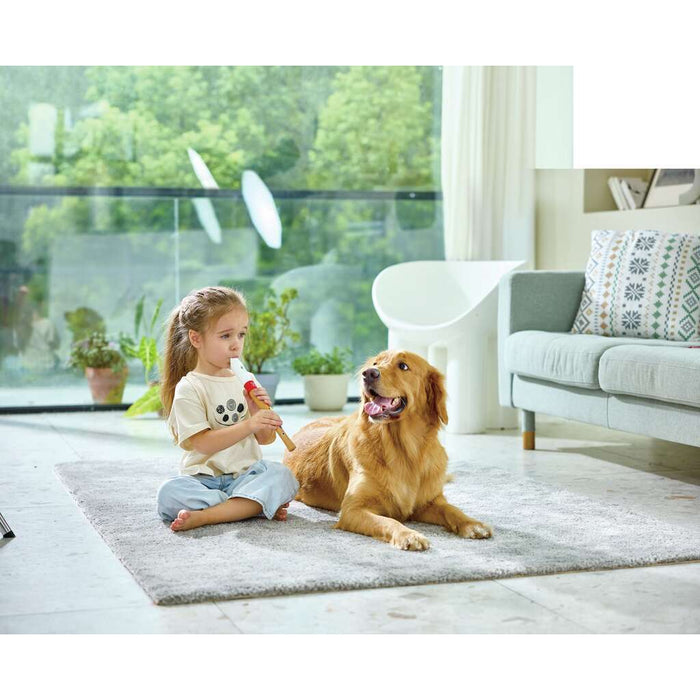 Hape 2025 Mini Musician's Starter Recorder E0640