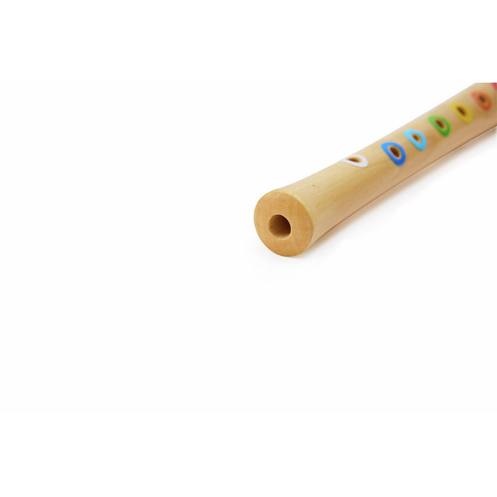 Hape 2025 Mini Musician's Starter Recorder E0640