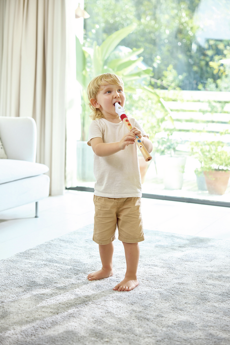 Hape 2025 Mini Musician's Starter Recorder E0640