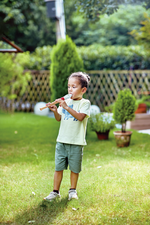 Hape 2025 Mini Musician's Starter Recorder E0640