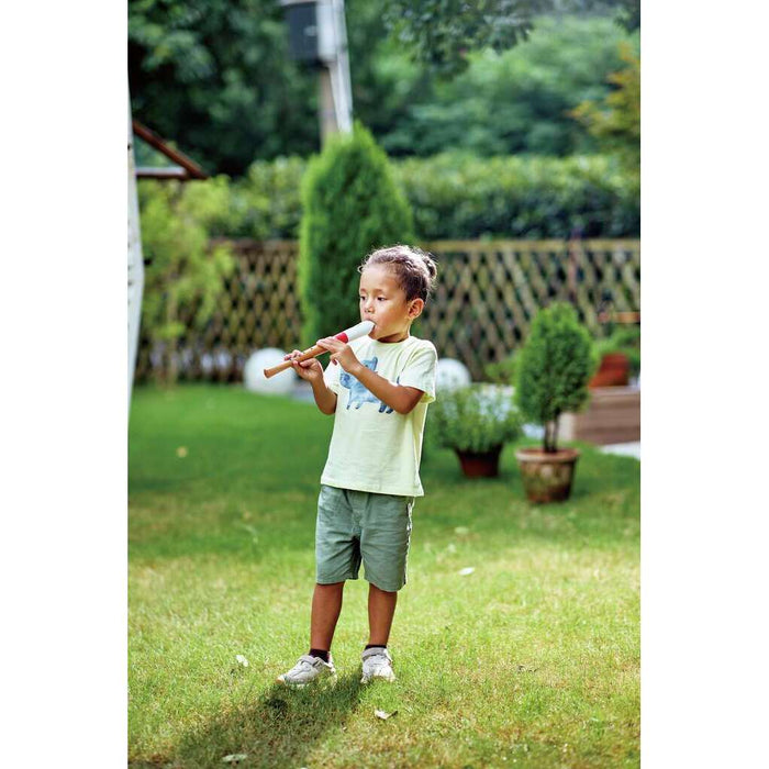 Hape 2025 Mini Musician's Starter Recorder E0640