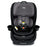 Britax Poplar Convertible Car Seat - Stone Onyx