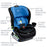 Britax Poplar Convertible Car Seat - Cobalt Onyx