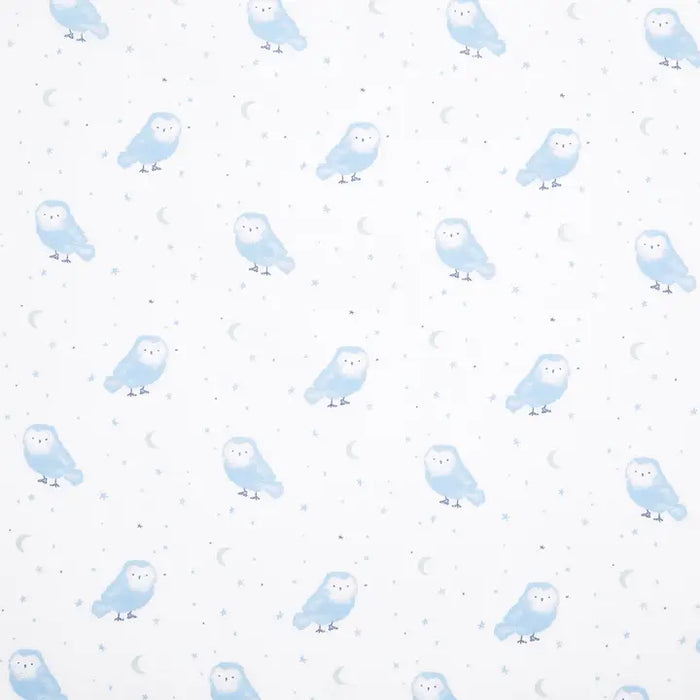 Aden + Anais Classic Poplin Crib Sheets 2pk - Time to Dream