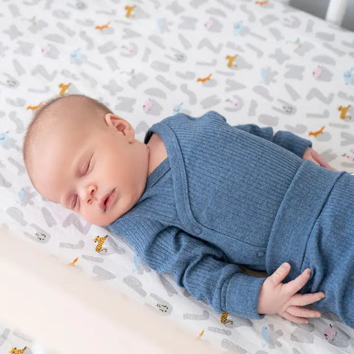 Aden + Anais Classic Poplin Crib Sheets 2pk - Alphabet Animals