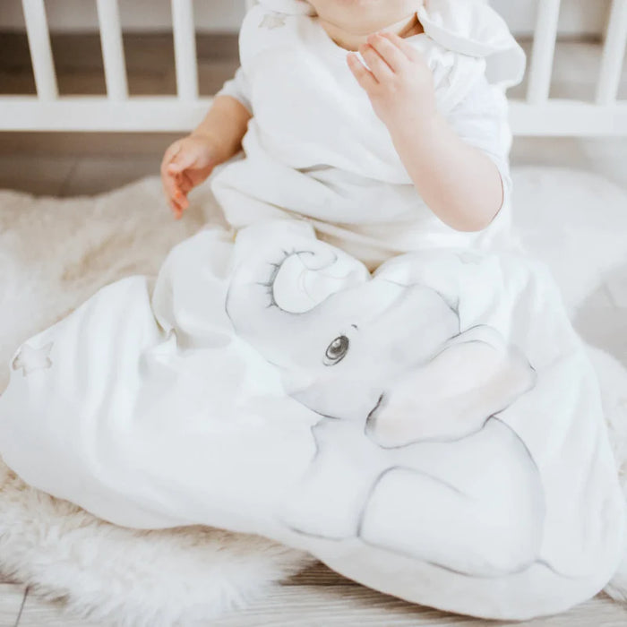 Glitter & Spice Sleep Bag 1.0T - Up & Away