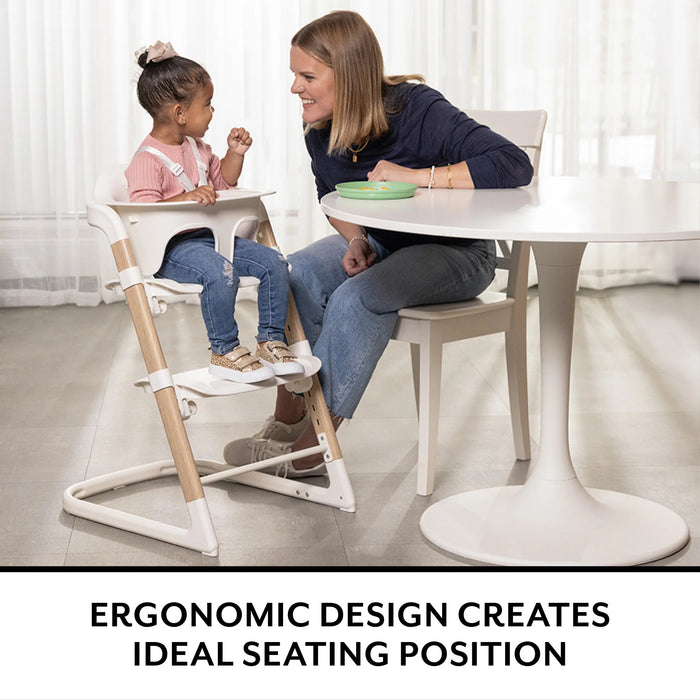 Evenflo 3in1 RightSeat Multistage High Chair - Sage