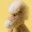 Jellycat Canterneigh Pony (LIMIT ONE PER CUSTOMER)
