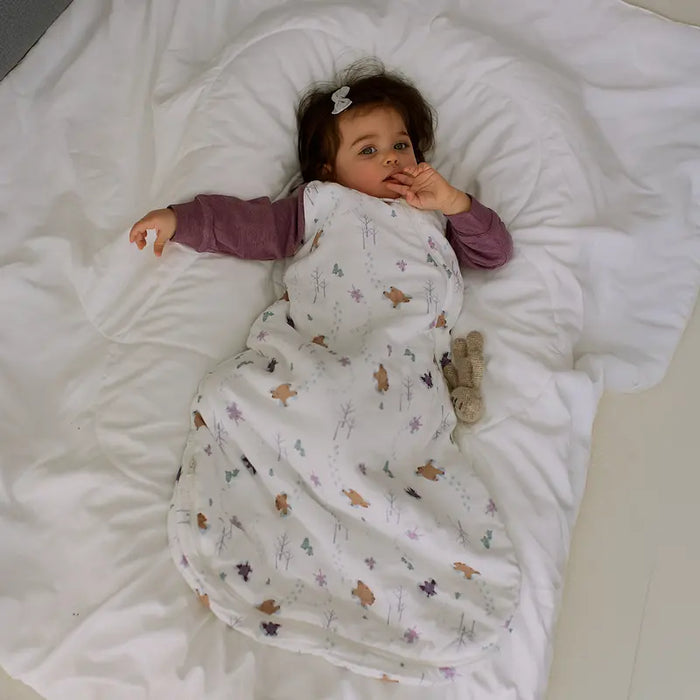 Nest Designs Raglan Long Sleeve Sleep Bag 2.5T - Snow Angels