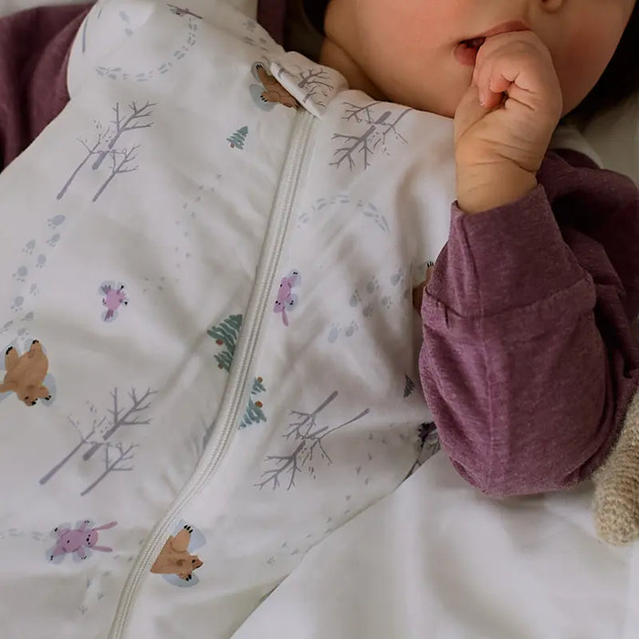 Nest Designs Raglan Long Sleeve Sleep Bag 2.5T - Snow Angels