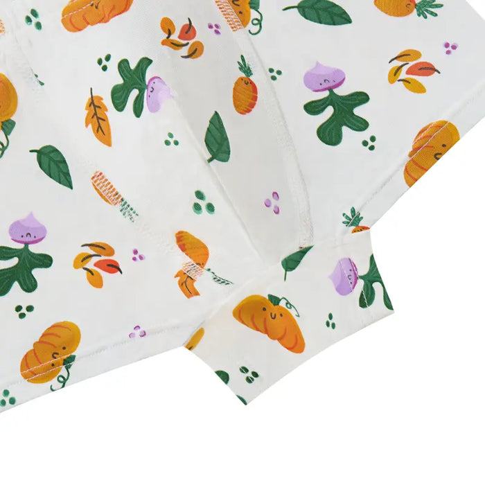 Nest Designs Boys Boxer Briefs Underwear 2PC - Harvest Time