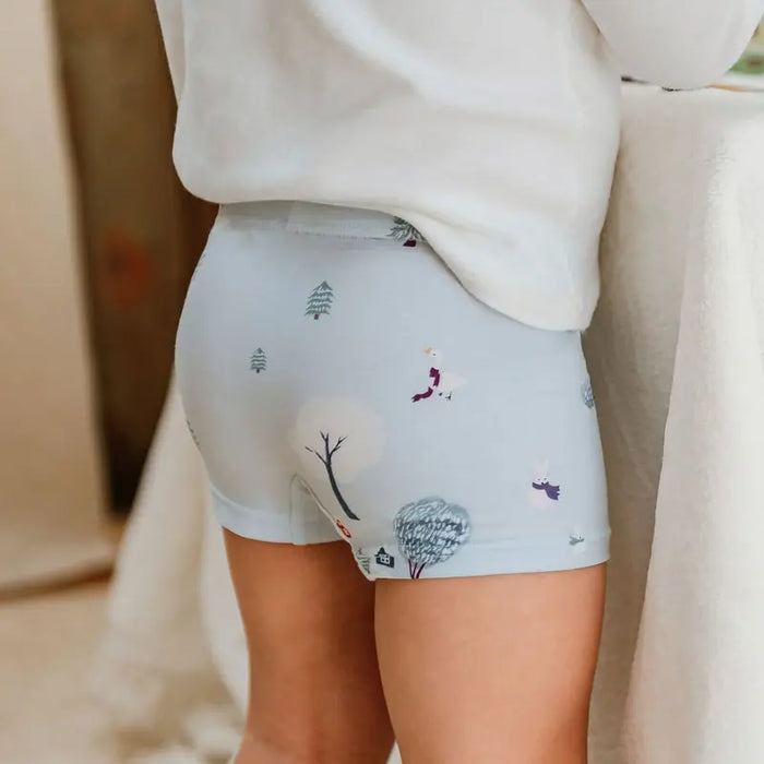 Nest Designs Boys Boxer Briefs Underwear 2pk - Winter Fun